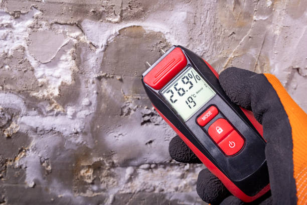 Best Insurance-Related Mold Remediation in Brownsville, TX